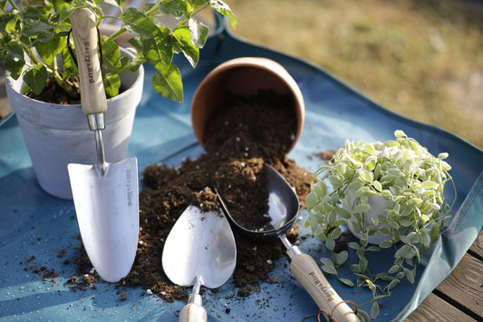 What is the best garden tool set?