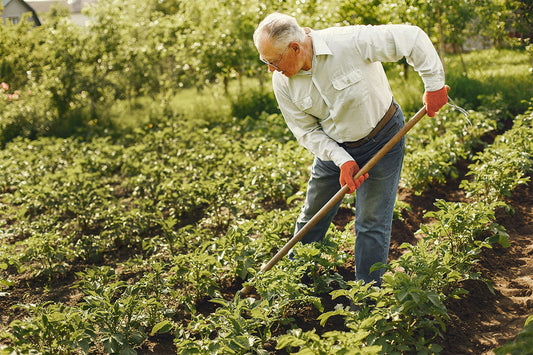 Gardening for Mental and Physical Health Benefits