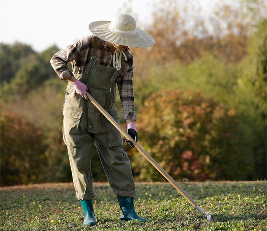 Best Weed Puller Tool