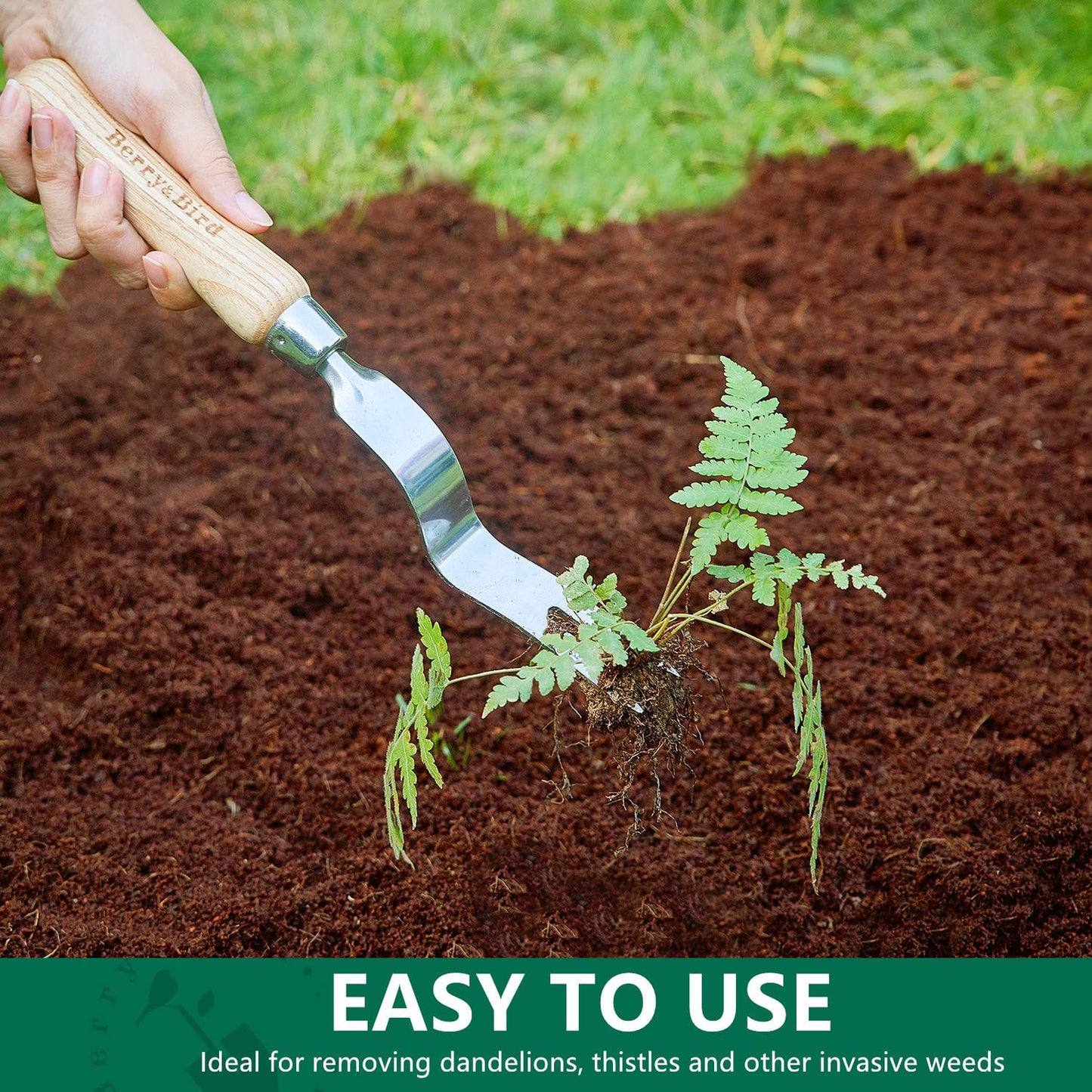 Garden Tools Hand Weeder Tool 12.1 inch with Wood Handle