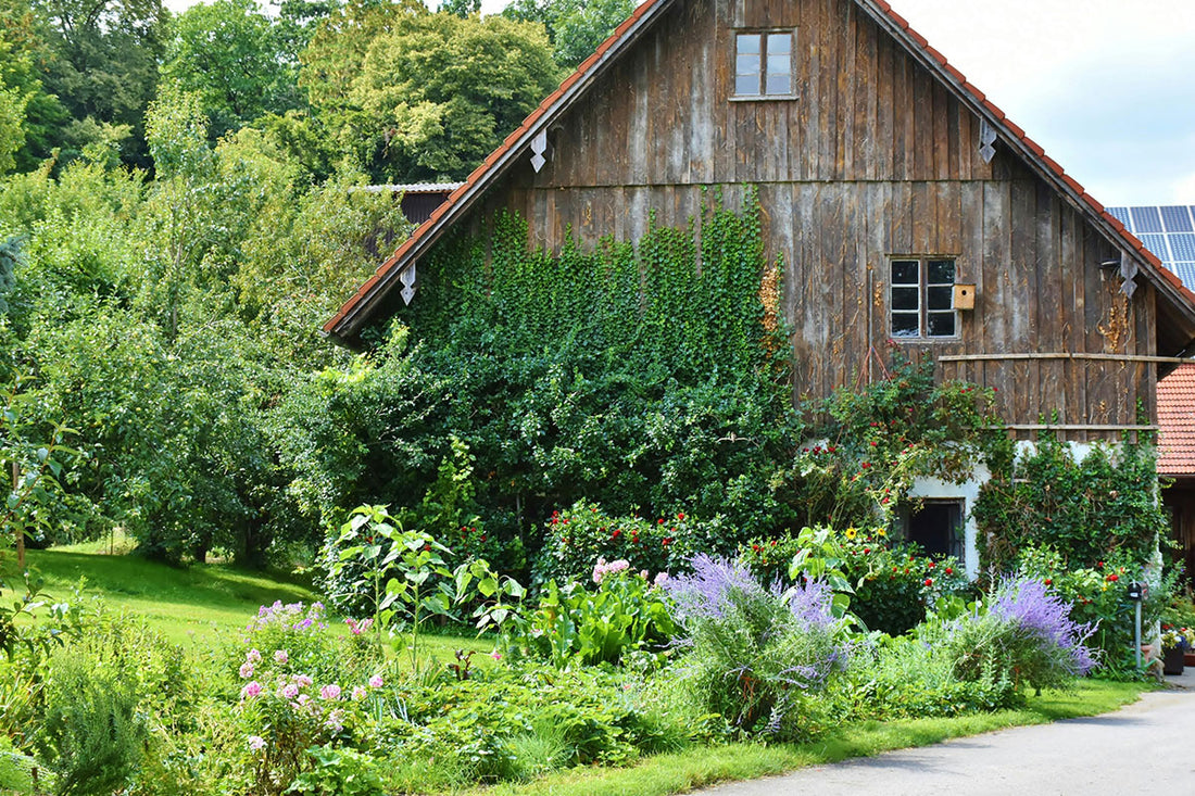 Embracing Low-Maintenance Gardening for a Serene and Sustainable Oasis
