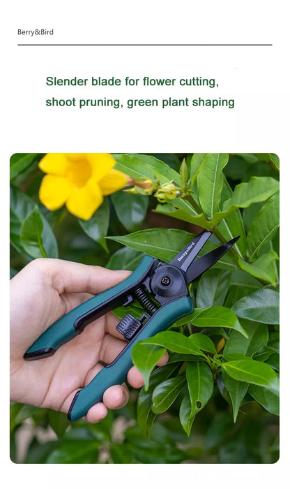 plant scissors garden Garden Tools Pruning Shears Scissors Gardening (Green) – BerryandBird
