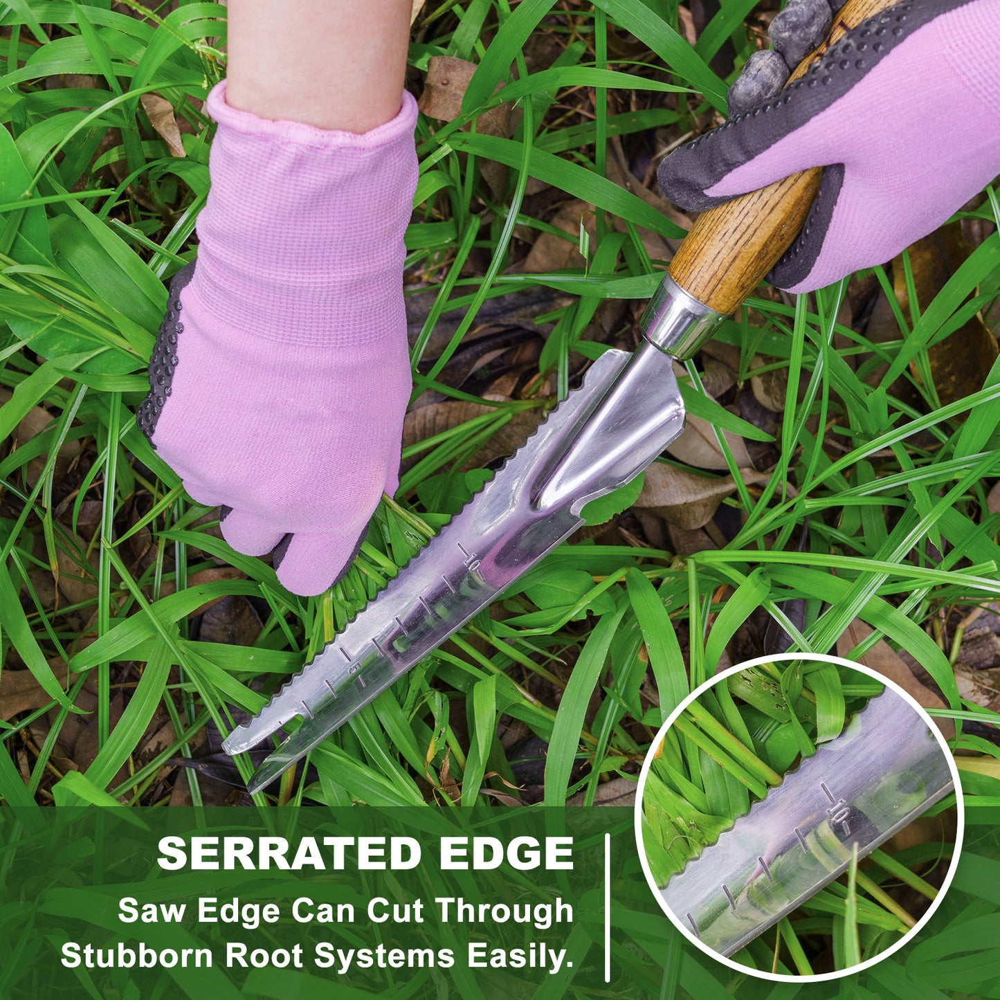 Multi-Use Weed Trowel Stainless Steel Dandelion Fork Puller and Digging Knife with Wood Handle