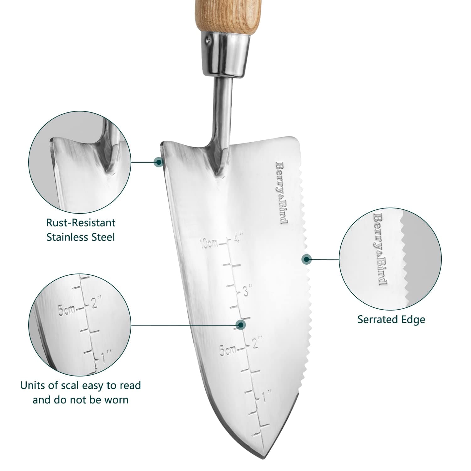 garden trowel with serrated edge Garden Trowel Potting Serrated Planting Trowel with Wood Handle – BerryandBird