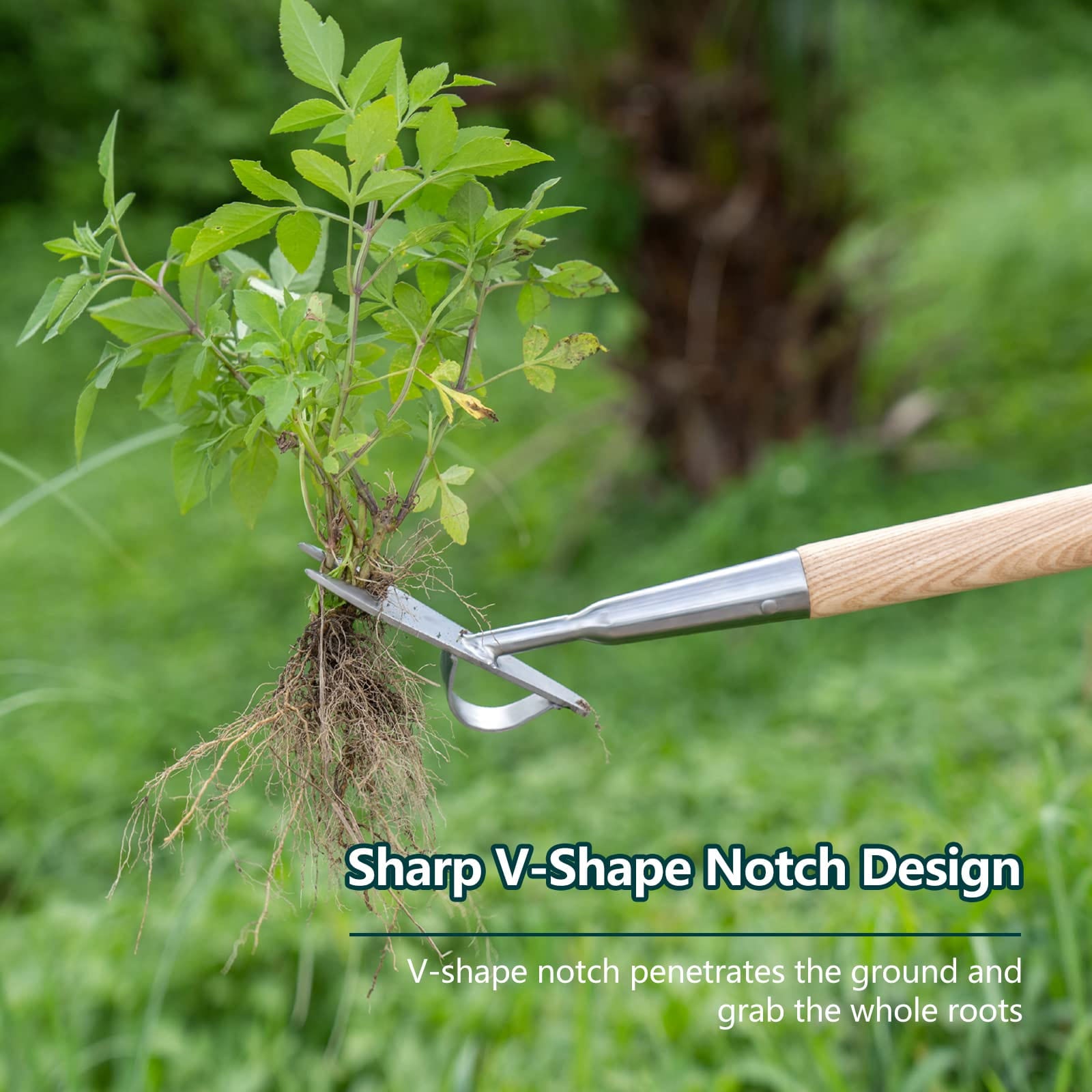 Gardening Long Handle Weed Puller 59 inch – BerryandBird