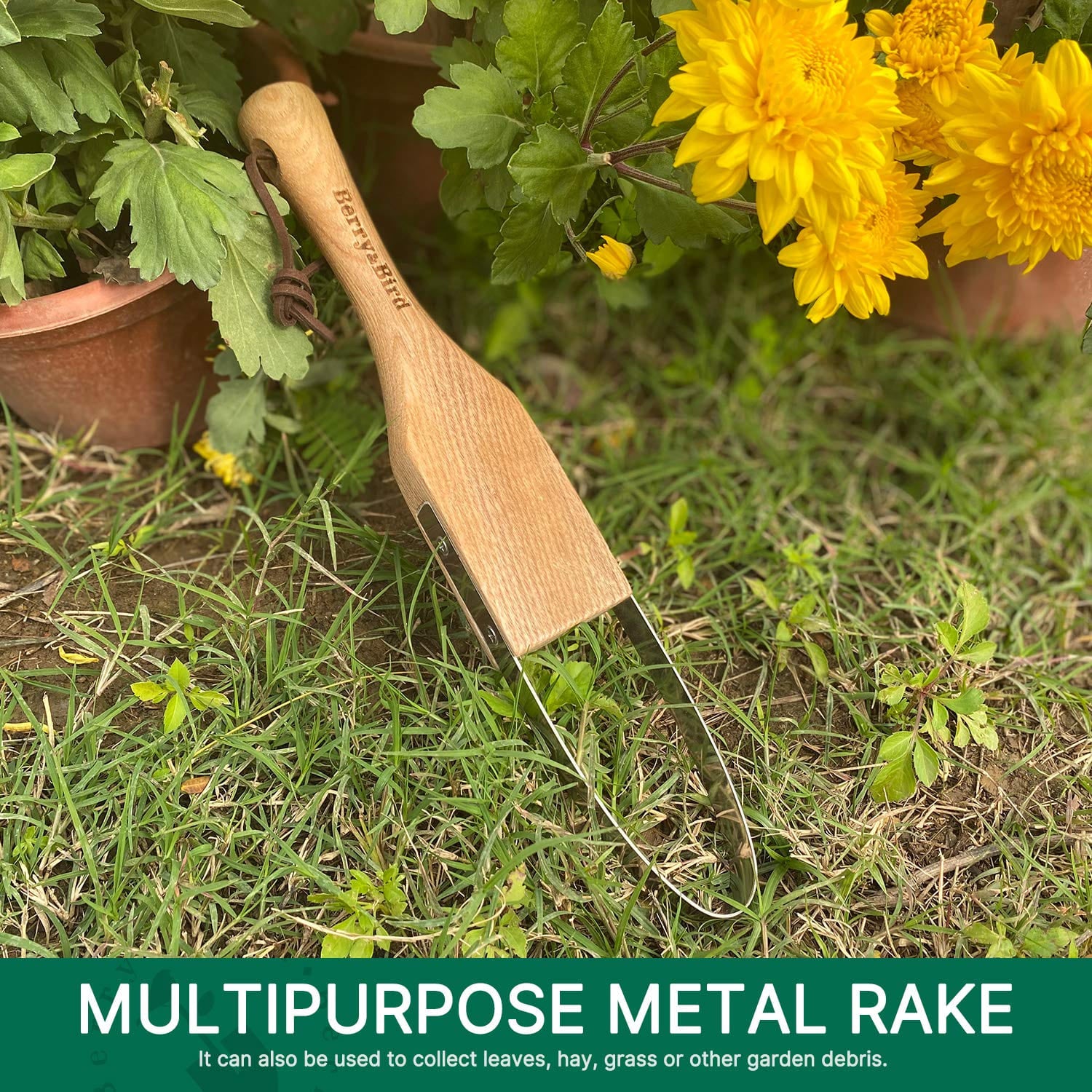 Weeding Tools – BerryandBird
