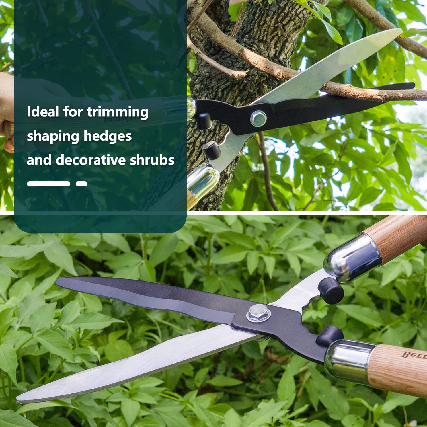 Garden Tools Hedge Shears 19.88 inch with Wooden Handles – BerryandBird