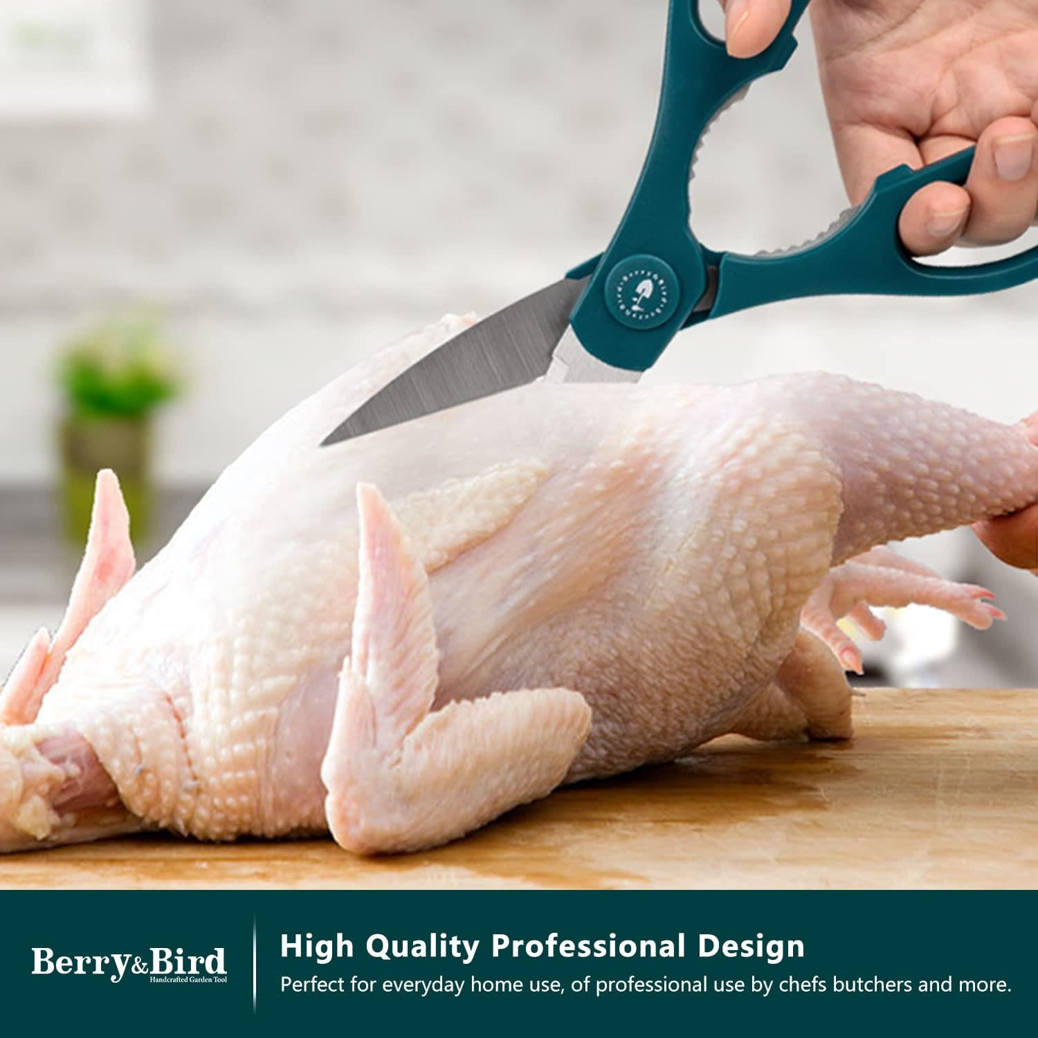 https://www.berryandbirdbrands.com/cdn/shop/products/KitchenScissorsforBerry_Bird.jpg?v=1670398730&width=1946